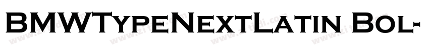 BMWTypeNextLatin Bol字体转换